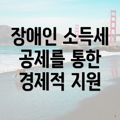 장애인 소득세 공제를 통한 경제적 지원
