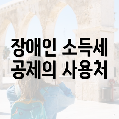 장애인 소득세 공제의 사용처