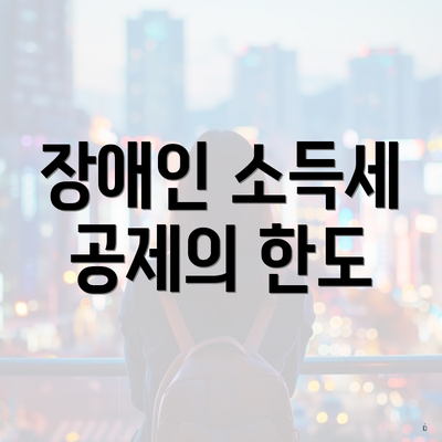 장애인 소득세 공제의 한도