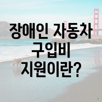 장애인 자동차 구입비 지원이란?