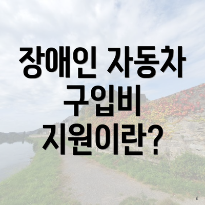 장애인 자동차 구입비 지원이란?