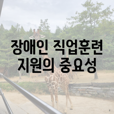 장애인 직업훈련 지원의 중요성