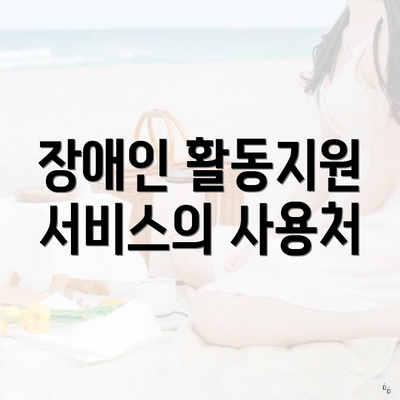 장애인 활동지원 서비스의 사용처