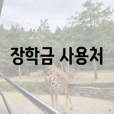 장학금 사용처