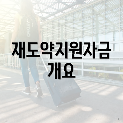 재도약지원자금 개요