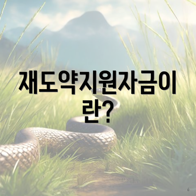 재도약지원자금이란?
