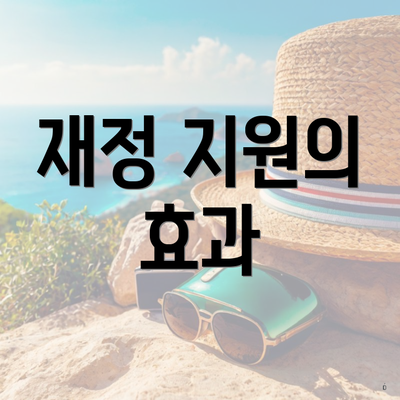 재정 지원의 효과