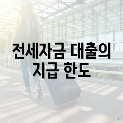 전세자금 대출의 지급 한도