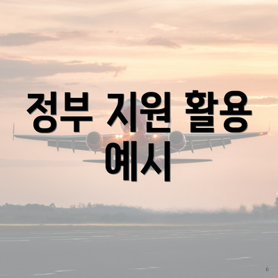 정부 지원 활용 예시