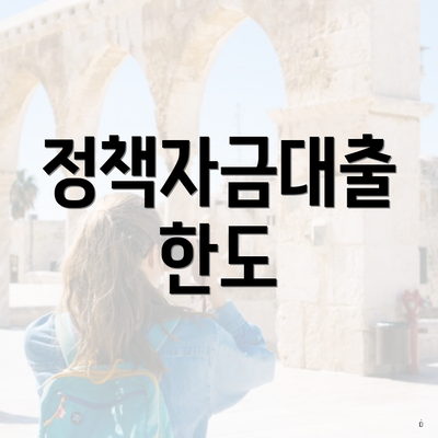 정책자금대출 한도