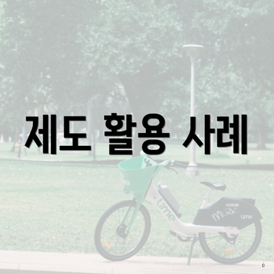 제도 활용 사례