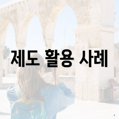 제도 활용 사례