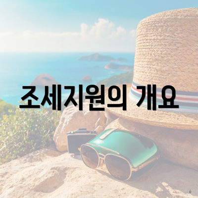 조세지원의 개요