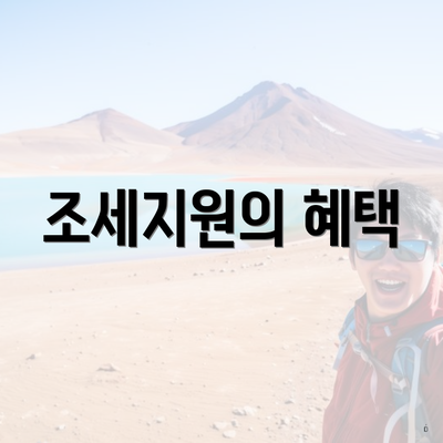 조세지원의 혜택