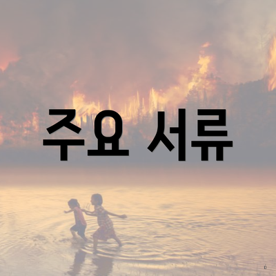 주요 서류