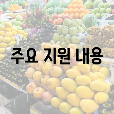 주요 지원 내용