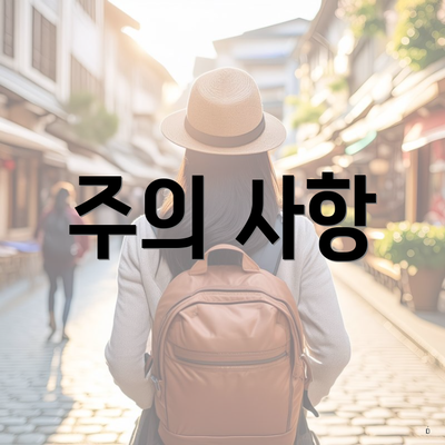 주의 사항