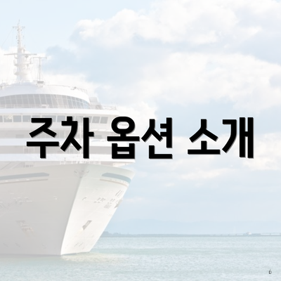 주차 옵션 소개