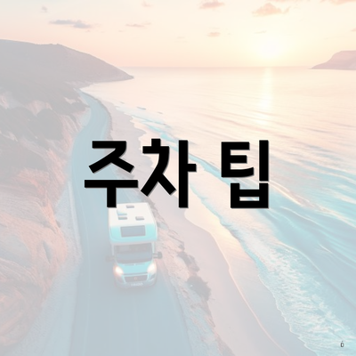 주차 팁