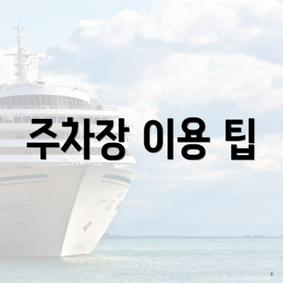 주차장 이용 팁