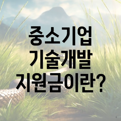 중소기업 기술개발 지원금이란?
