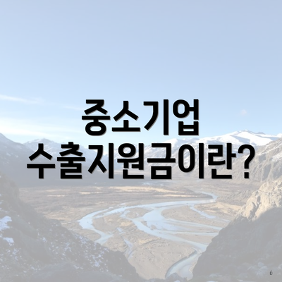 중소기업 수출지원금이란?