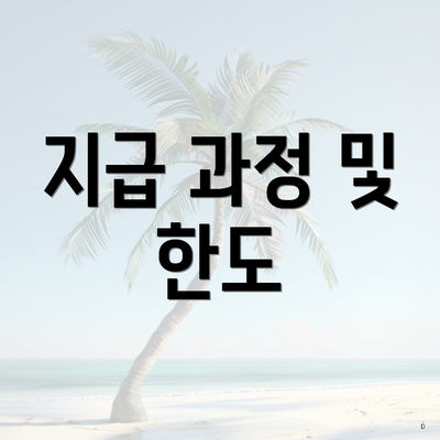 지급 과정 및 한도