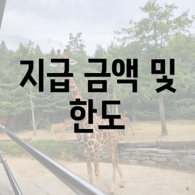 지급 금액 및 한도