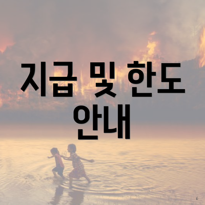 지급 및 한도 안내