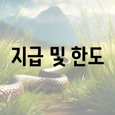 지급 및 한도