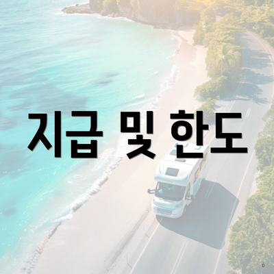 지급 및 한도