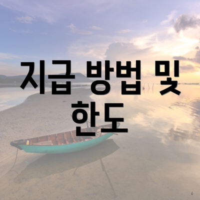 지급 방법 및 한도