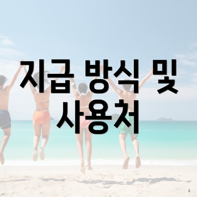 지급 방식 및 사용처