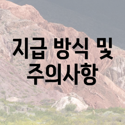 지급 방식 및 주의사항