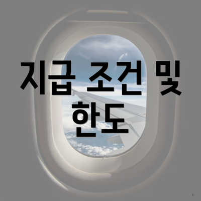 지급 조건 및 한도