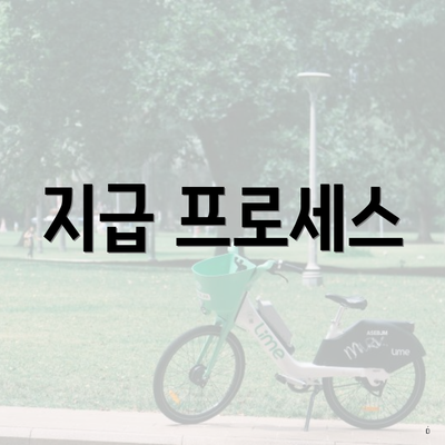 지급 프로세스