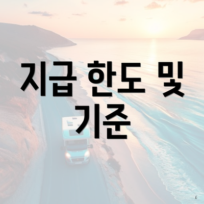 지급 한도 및 기준
