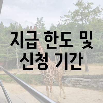 지급 한도 및 신청 기간