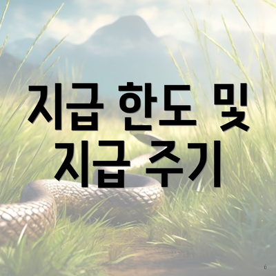 지급 한도 및 지급 주기
