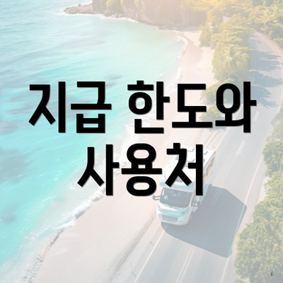 지급 한도와 사용처