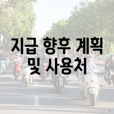 지급 향후 계획 및 사용처