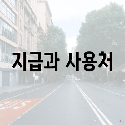 지급과 사용처