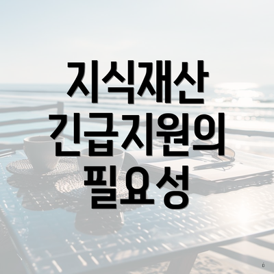 지식재산 긴급지원의 필요성