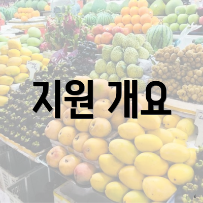 지원 개요