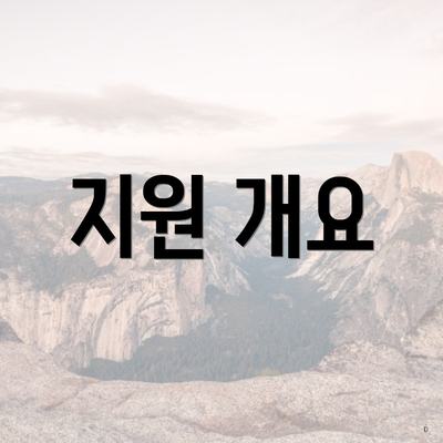 지원 개요