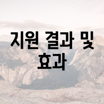 지원 결과 및 효과