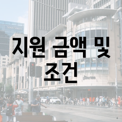 지원 금액 및 조건
