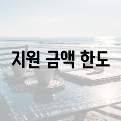 지원 금액 한도