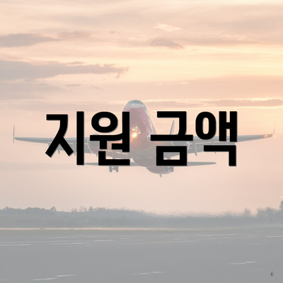 지원 금액