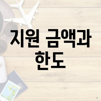 지원 금액과 한도